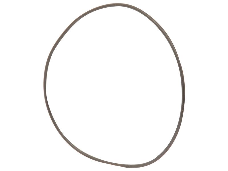 Seal Ring - OR86824 (Bag of 2) Image 1