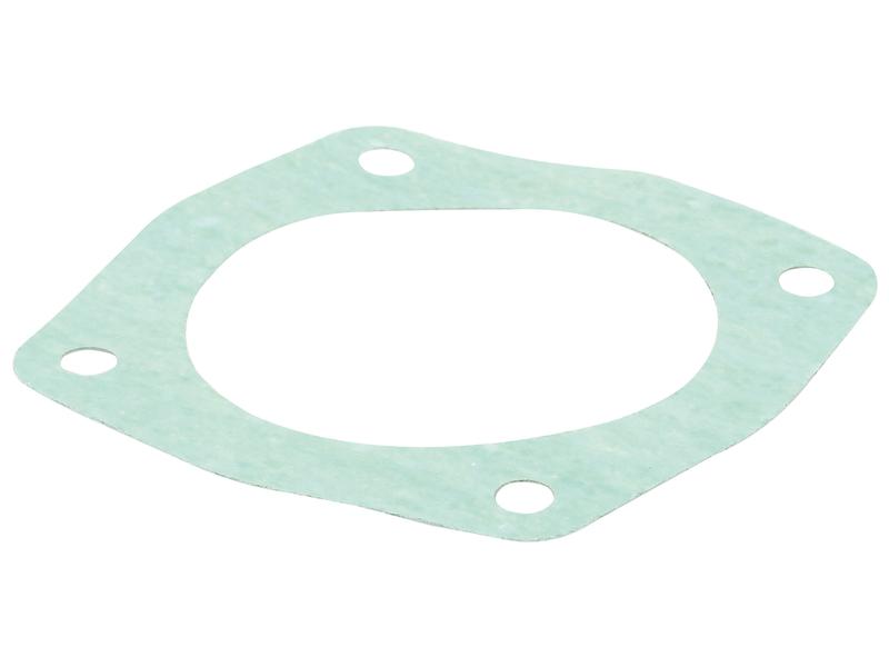 Manifold Gasket Image 1