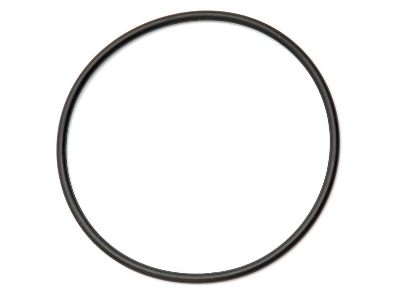 O Ring 1/8\'\' x 3 5/8\'\' (BS239) 70 Shore Image 1