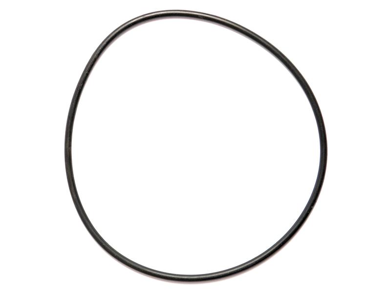 O Ring 1/8\'\' x 4 3/4\'\' (BS248) Shore Image 1