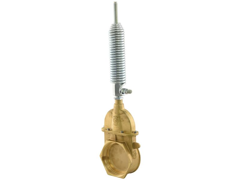 Gate valve with oildynamic ram with spring - Double threaded 6\'\' Image 1