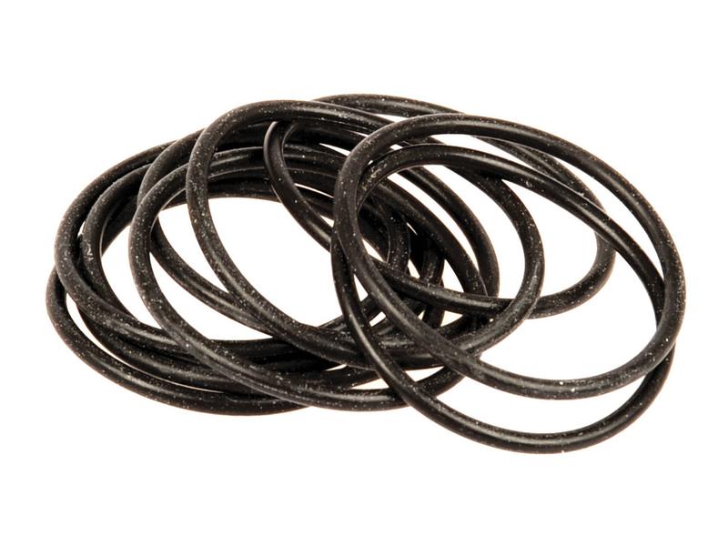 O\' Ring Pack, 26.6 x 30.16 x 1.78mm (10 pcs.) Image 1