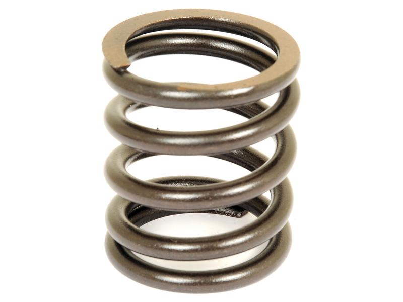 Spring Valve Image 1