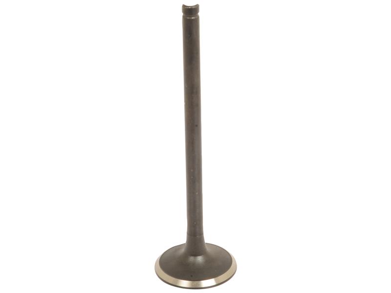 Exhaust Valve Standard Image 1