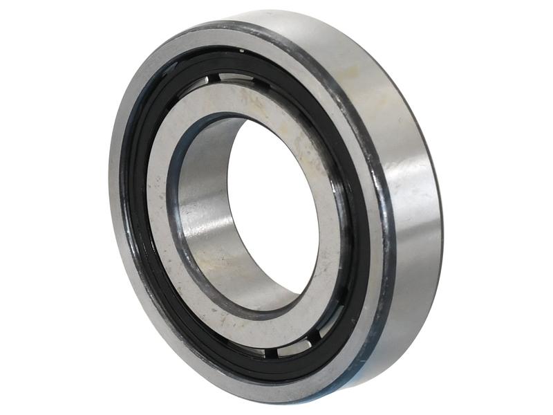 Sparex Cylindrical Roller Bearing Image 1