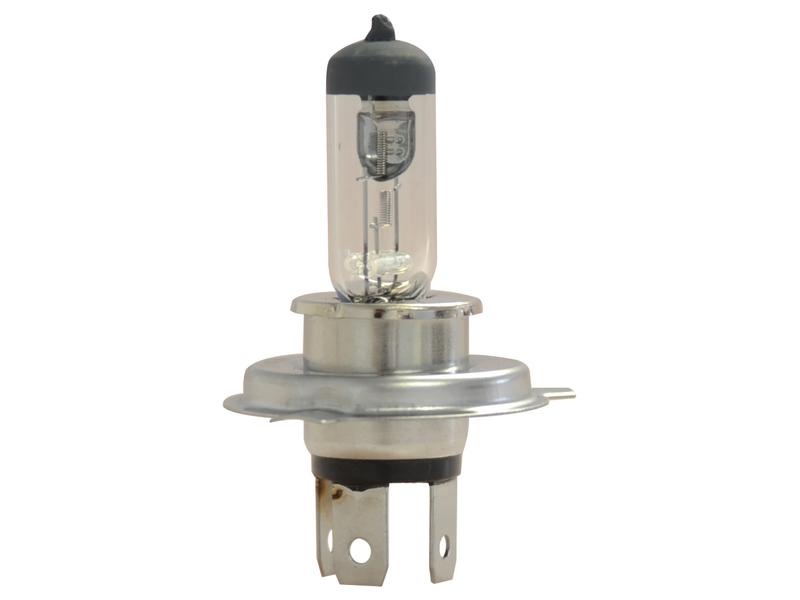 Light Bulb (Halogen) H4, 12V, 55W, P43t (Box 1 pc.)