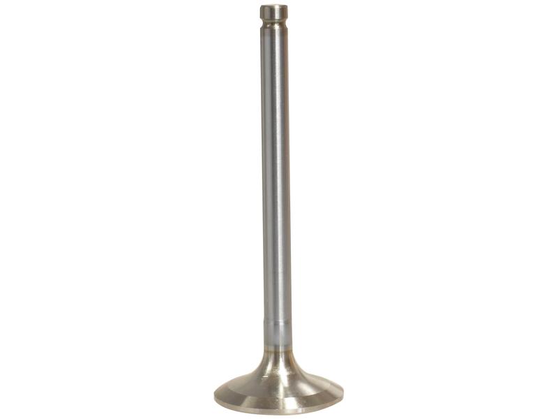 Exhaust Valve Standard Image 1