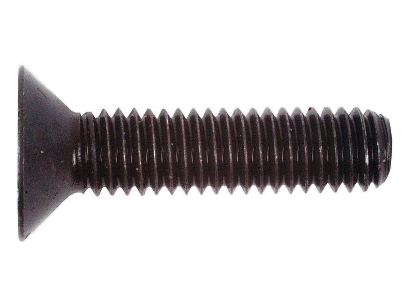 Metric Countersunk Hexagon Socket Screw,  M6x25mm (DIN 7991) Image 1