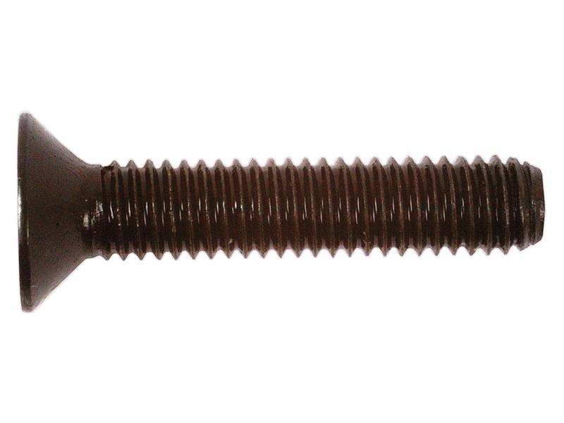 Metric Countersunk Hexagon Socket Screw,  M6x30mm (DIN 7991) Image 1