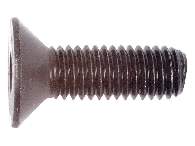 Metric Countersunk Hexagon Socket Screw,  M8x25mm (DIN 7991) Image 1