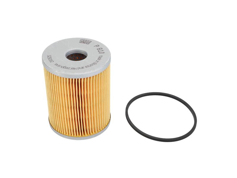 Fuel Filter - Element - P810x Image 1