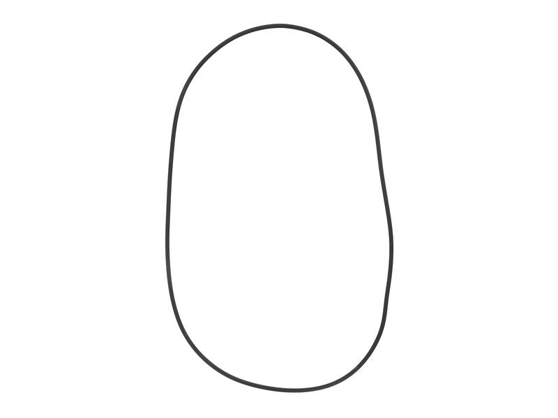 O Ring Image 1