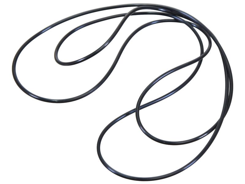 O Ring Image 1