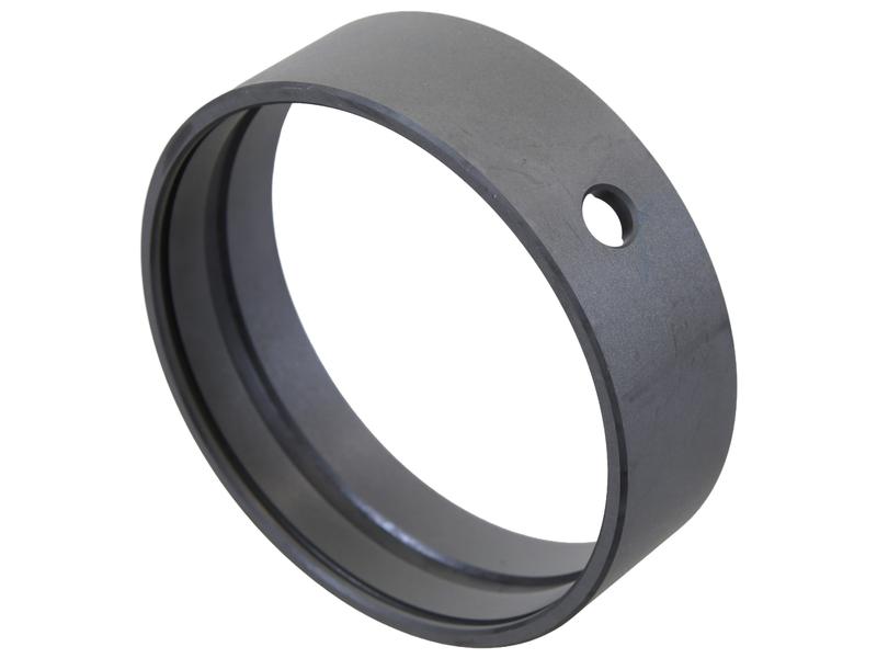 Spindle Bush Image 1