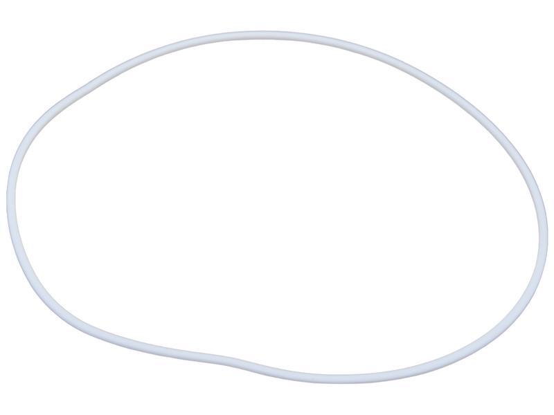 Carraro Square Section Seal Image 1