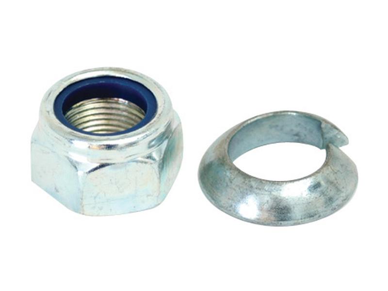Nut and Conical Spring Washer M20 x 1.50