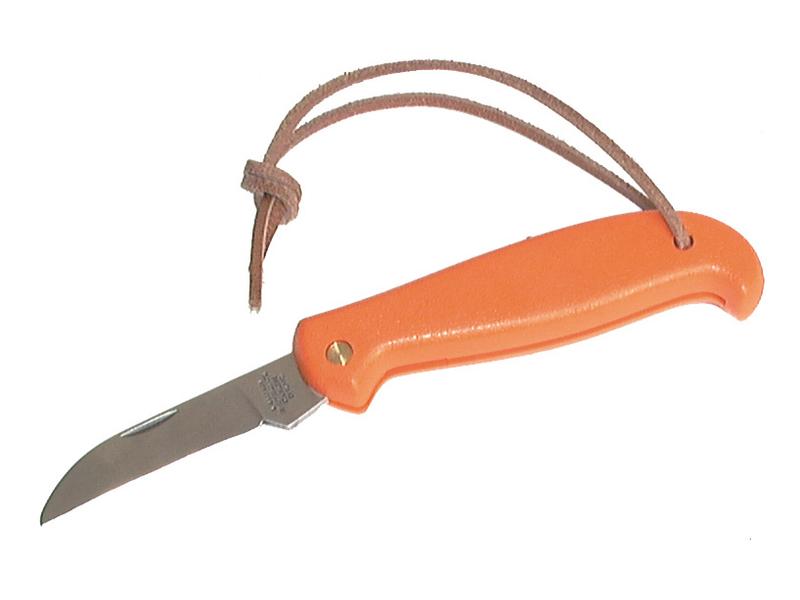 Penknife Orange Plastic Handle Image 1