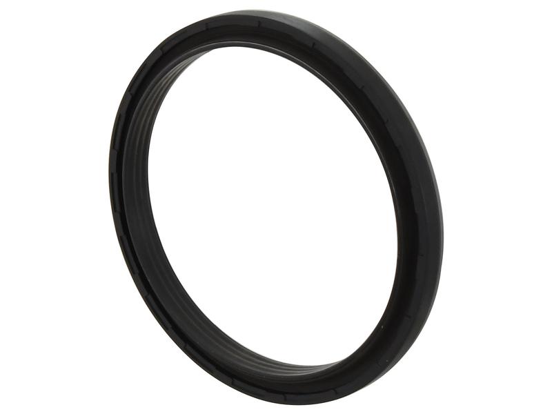 Rear Engine Oil Seal Image 1