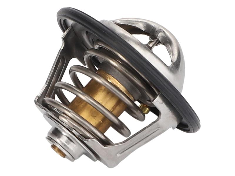 Thermostat Image 1