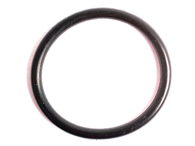 O Ring 1/16\'\' x 3/4\'\' (BS018) 90 Shore Image 1