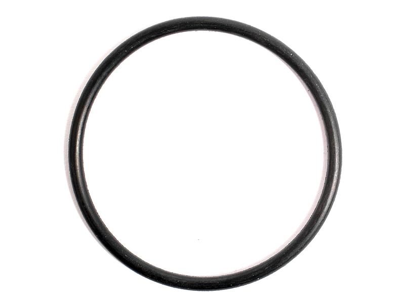 O Ring 1/16\'\' x 1 3/16\'\' (BS025) 90 Shore Image 1