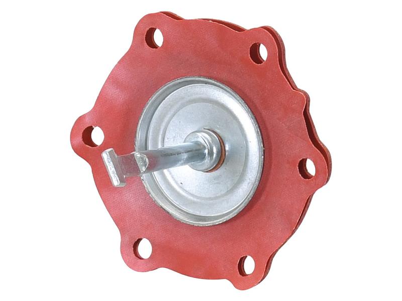 Diaphragm Image 1