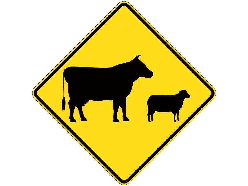 Safety Sign - Give Way to Stock, 600 x 600mm