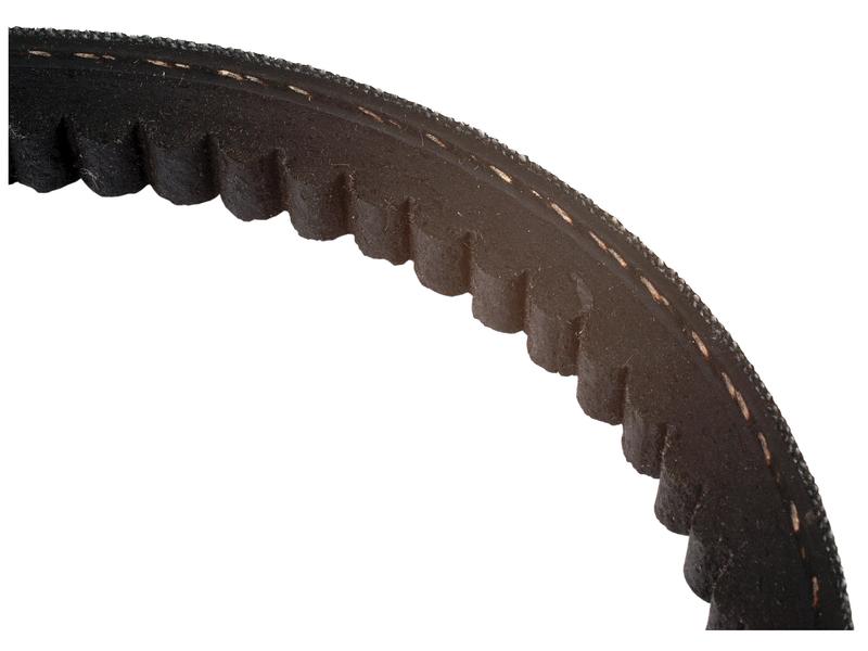 Raw Edge Moulded Cogged Belt - 13A Section - Belt No. 13A1310 Image 1
