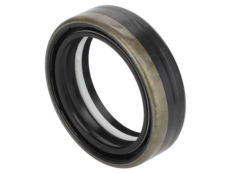 Metric Rotary Shaft Seal, 45 x 60 x 16/17mm Image 1