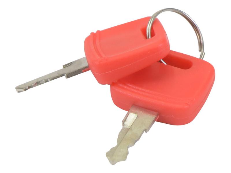 Ignition Key Image 1
