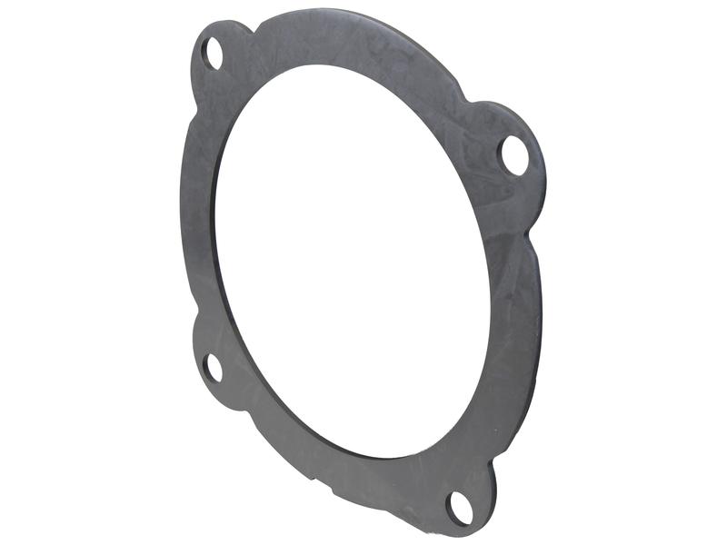 Brake Disc. OD 301.55mm Image 1