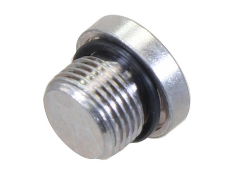 Sparex BSP Blanking Plug with Rubber Seal 1/8\'\' BSP Image 1