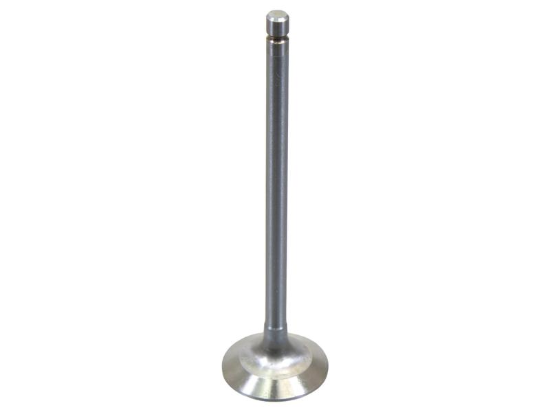 Exhaust Valve 135.4 Image 1