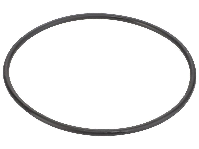 O Ring Image 1