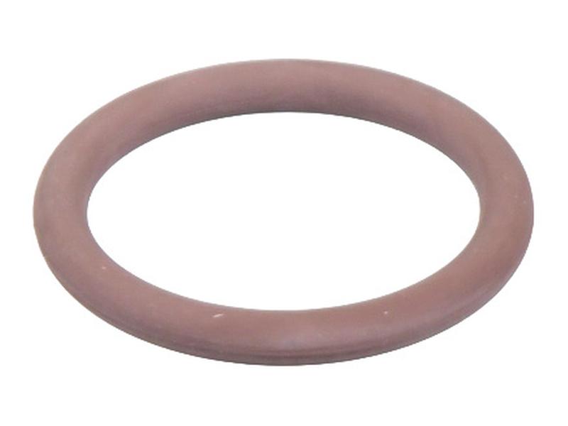 O Ring Image 1