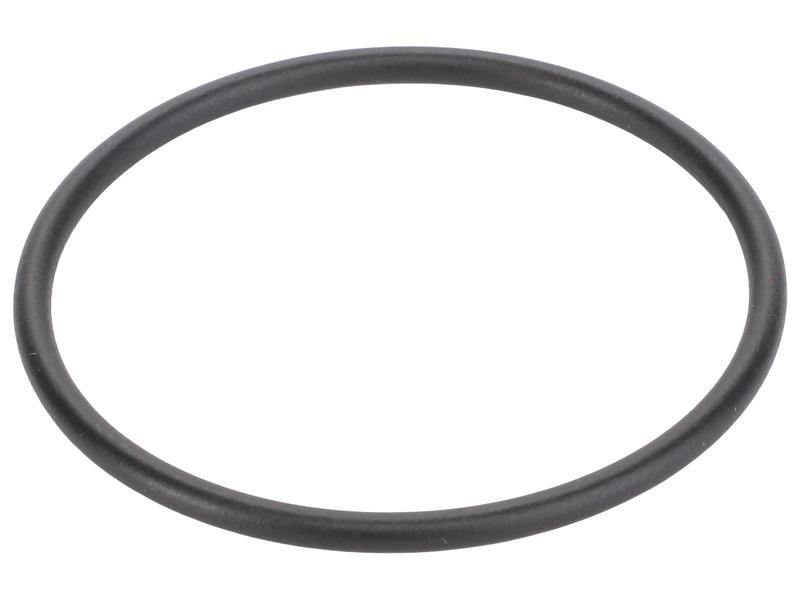 O Ring Image 1