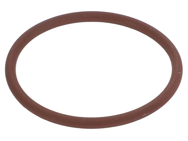 O Ring Image 1