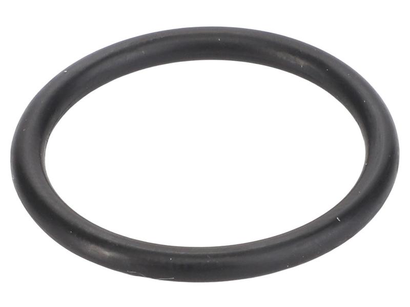 O Ring Image 1