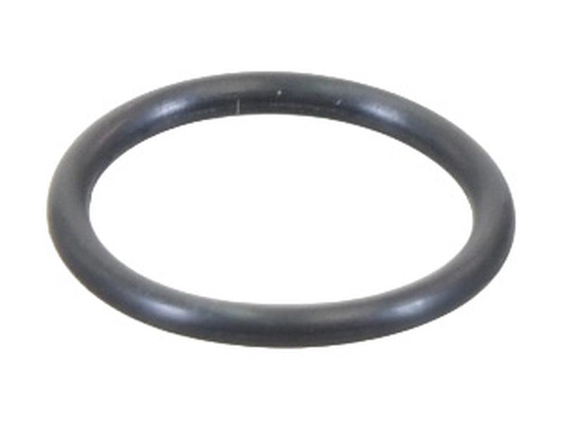 O Ring Image 1