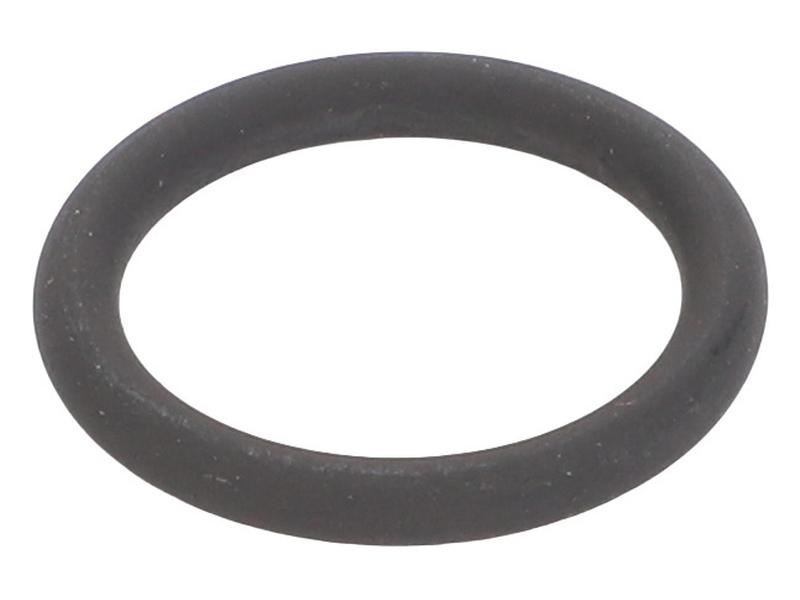 O Ring Image 1