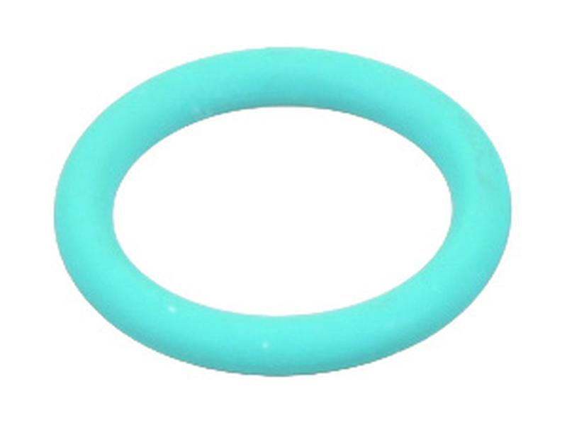 O Ring Image 1