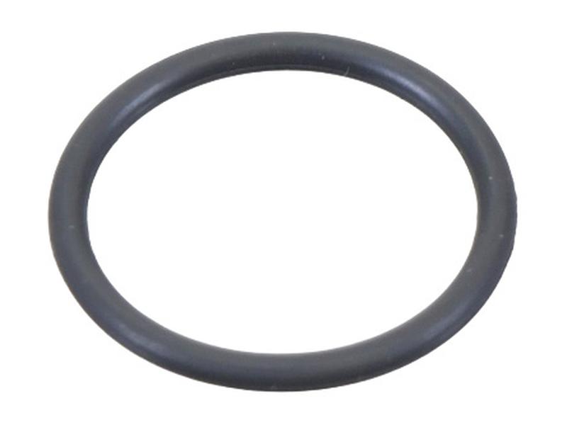 O Ring Image 1