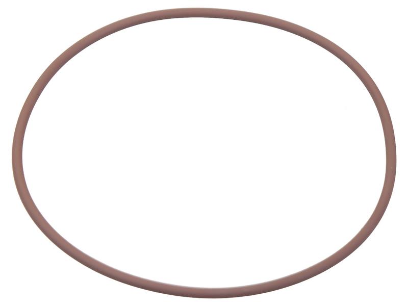 O Ring Image 1