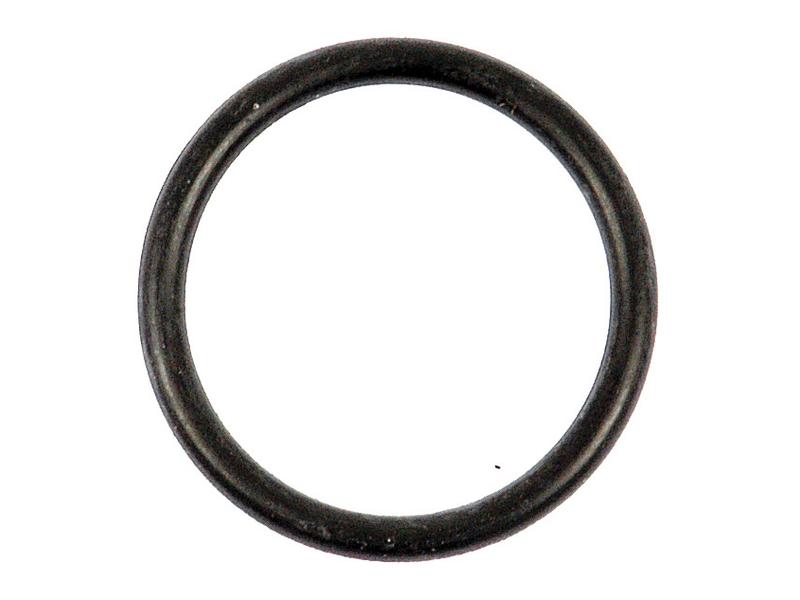 O Ring 3/32\'\' x 15/16\'\' (BS119) 70 Shore Image 1