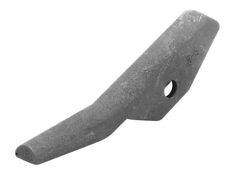 Shin Image 1
