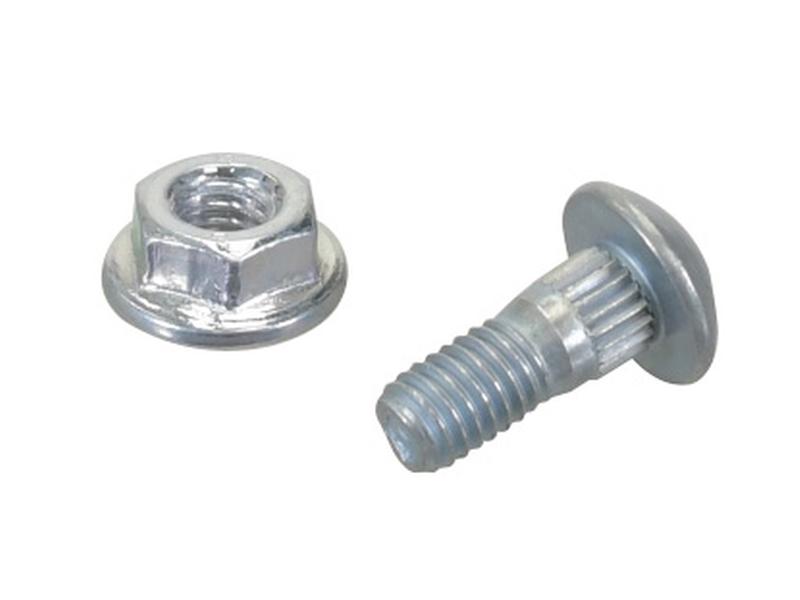 Cup Head Bolt & Nut M6 x 16mm Image 1