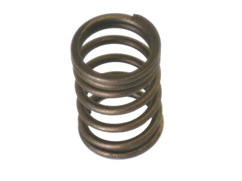 Valve Spring - Inner Image 1