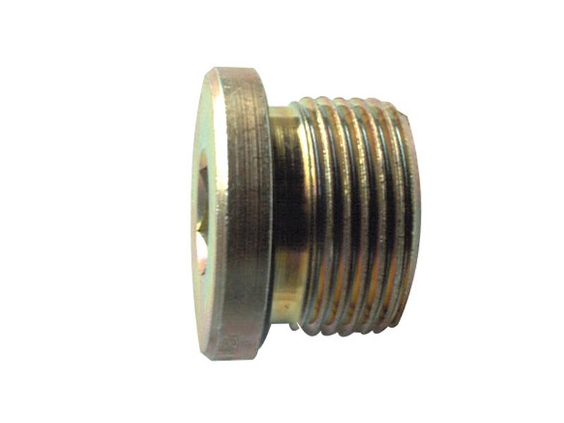 Hydraulic Blanking Plug Adaptor 3/4\'\'BSP Image 1