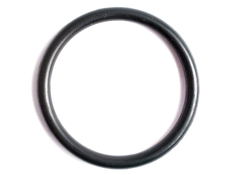 O Ring 2.5 x 24.00mm 70 Shore Image 1