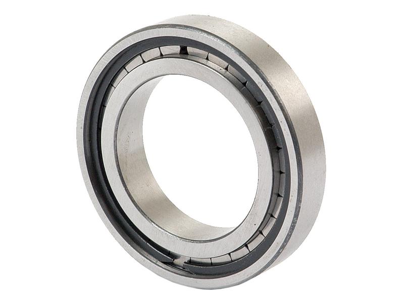 Sparex Cylindrical Roller Bearing (F32350)